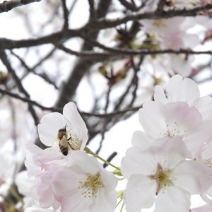 Meet your Posher, Carolyn